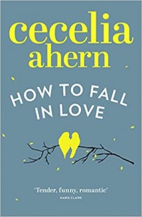 HOW TO FALL IN LOVE