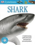 EYEWITNESS : SHARK