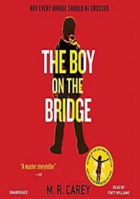 THE BOY ON THE BRIDGE