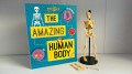 THE AMAZING HUMAN BODY