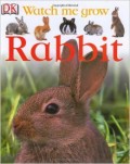 WATCH ME GROW RABBIT